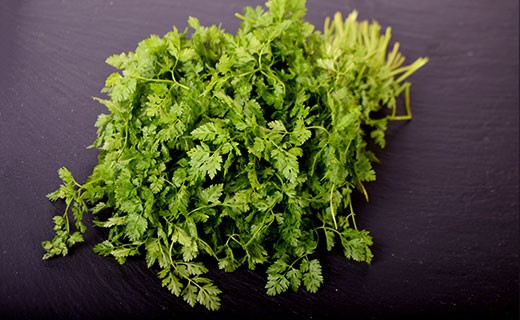 Chervil - Edélices Primeur