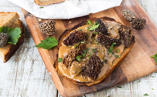 Morels Special quality (dried) - La Maison du Champignon