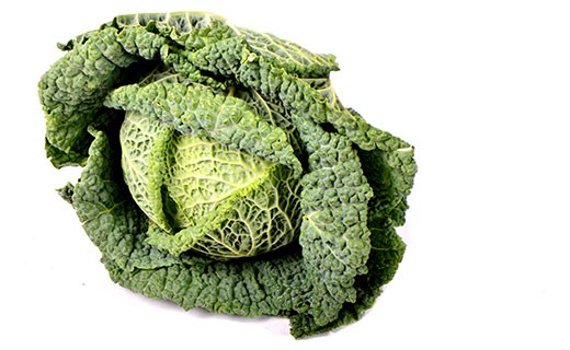 Savoy cabbage - Edélices Primeur
