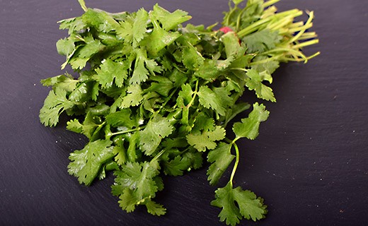 Coriander - Edélices Primeur