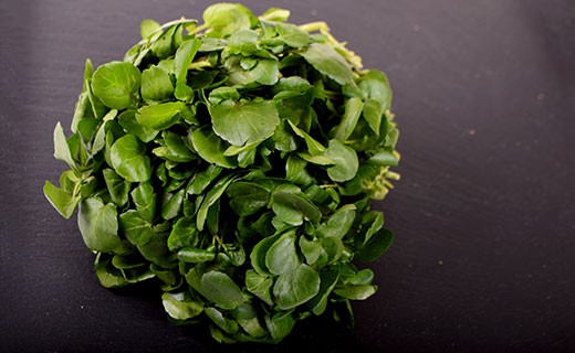 Cress - Edélices Primeur