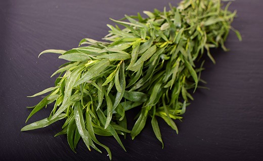 Tarragon - Edélices Primeur