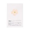 Dried white verbena edible flowers - Neworks