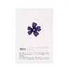 Dried blue verbena edible flowers - Neworks