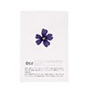 Dried blue verbena edible flowers