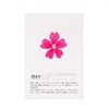 Dried pink verbena edible flowers - Neworks