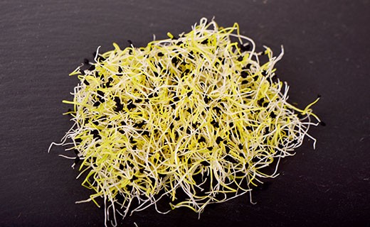 Leek sprouts - Edélices Primeur