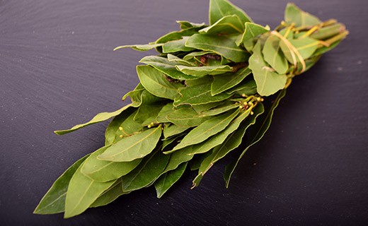 Laurel - Edélices Primeur