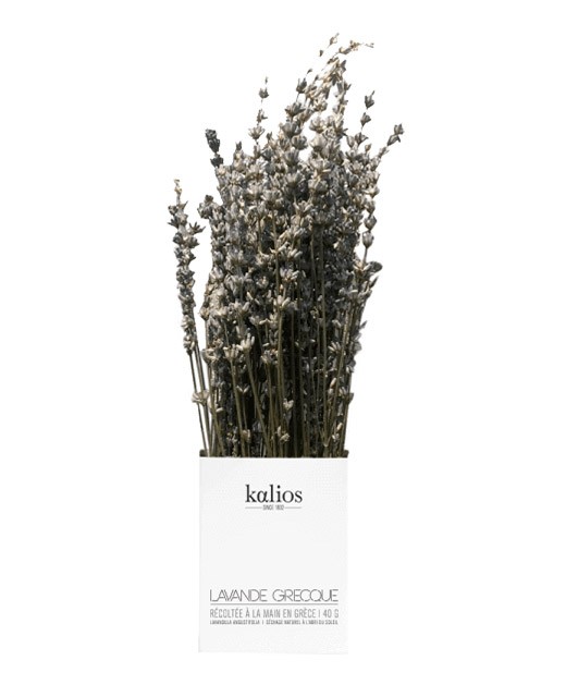Greek lavender branch - Kalios