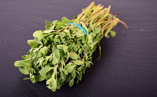 Marjoram - Edélices Primeur