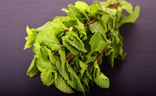 Mint - Edélices Primeur