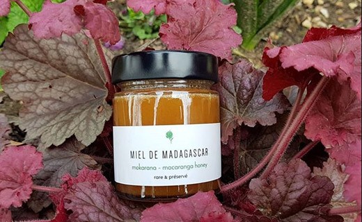 Mokarana honey from Madagascar - Compagnie du Miel