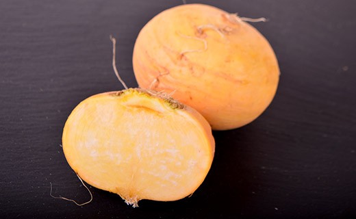 Turnip Golden Ball - Edélices Primeur