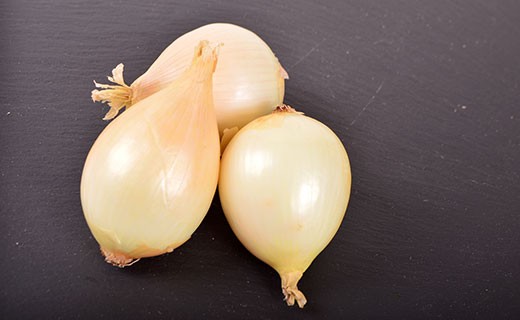 Cevennes onion - Edélices Primeur