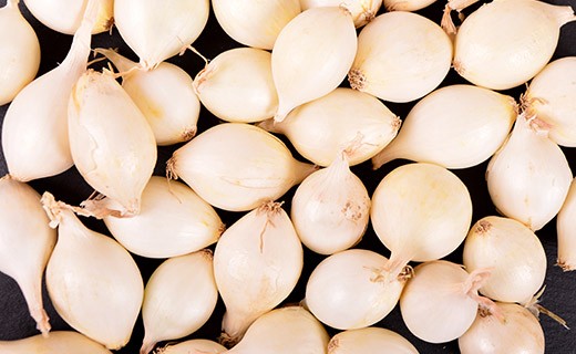 Onion bell - Edélices Primeur