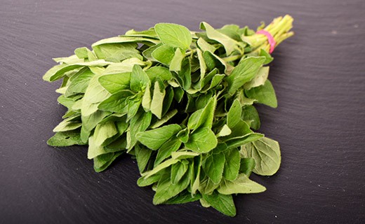 Oregano - Edélices Primeur