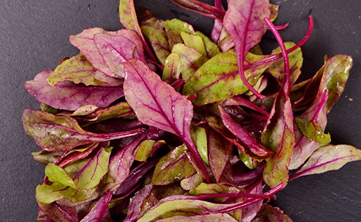 Beetroot leaves - Edélices Primeur