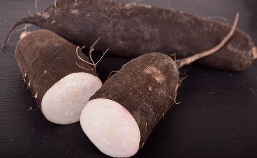Black radish - Edélices Primeur