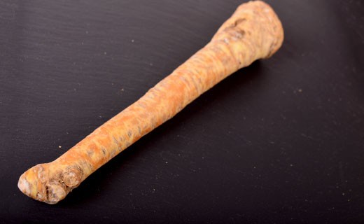 Horseradish - Edélices Primeur