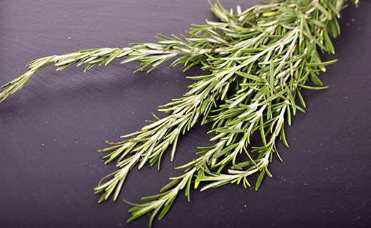 Rosemary - Edélices Primeur