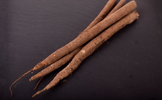 Salsify - thin - Edélices Primeur