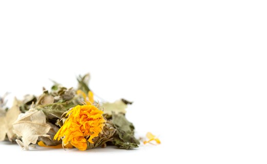 Herbal Tea Remède Elfique - Les Jardins de Gaïa