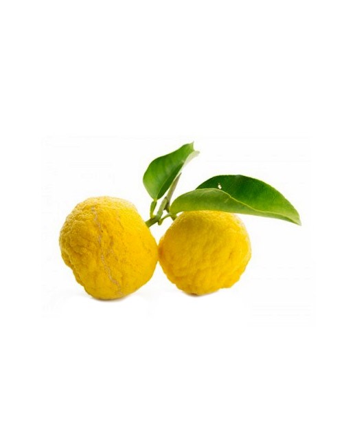 Fresh Yuzu from Kito - Bando Foods