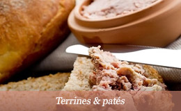 Terrine & paté